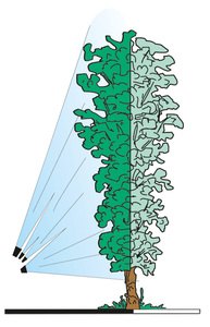 azione-piante-Getto-Cannone-Verticale-TGCV